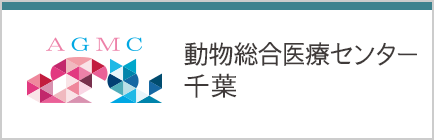 動物総合医療センター千葉